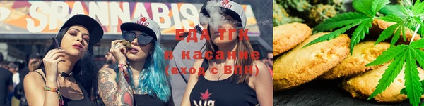 гашик Алзамай