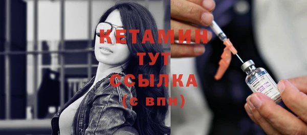 шишки Абаза
