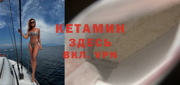 шишки Абаза