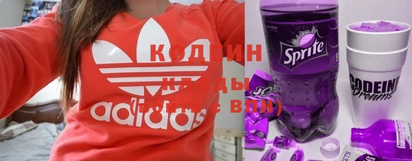 шишки Абаза