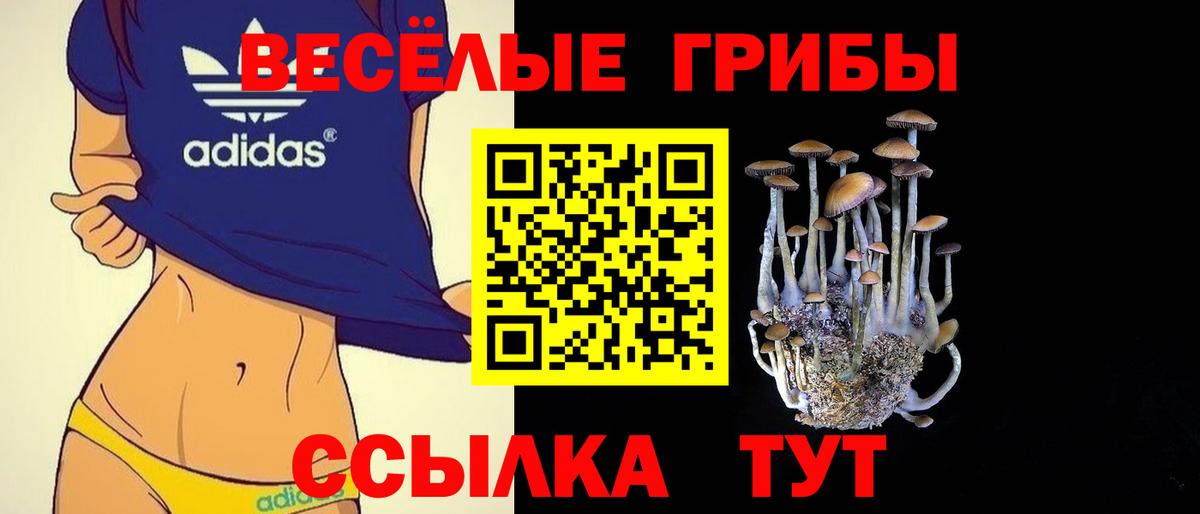 Псилоцибиновые грибы Psilocybe  Псилоцибиновые грибы Psilocybine cubensis  Десногорск  Вход с VPN 